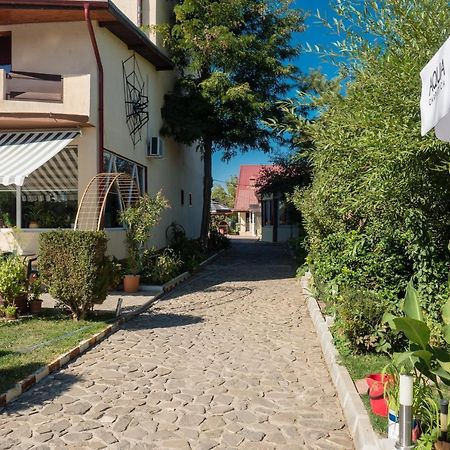 Pension Motanul Galanton Snagov Exterior photo